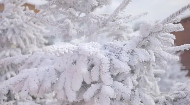 SnowLive Artificial Snow